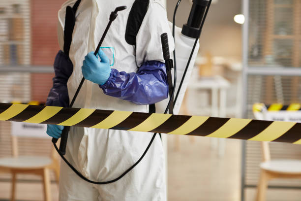 Professional Sewage Cleanup technician working in Milton, WI